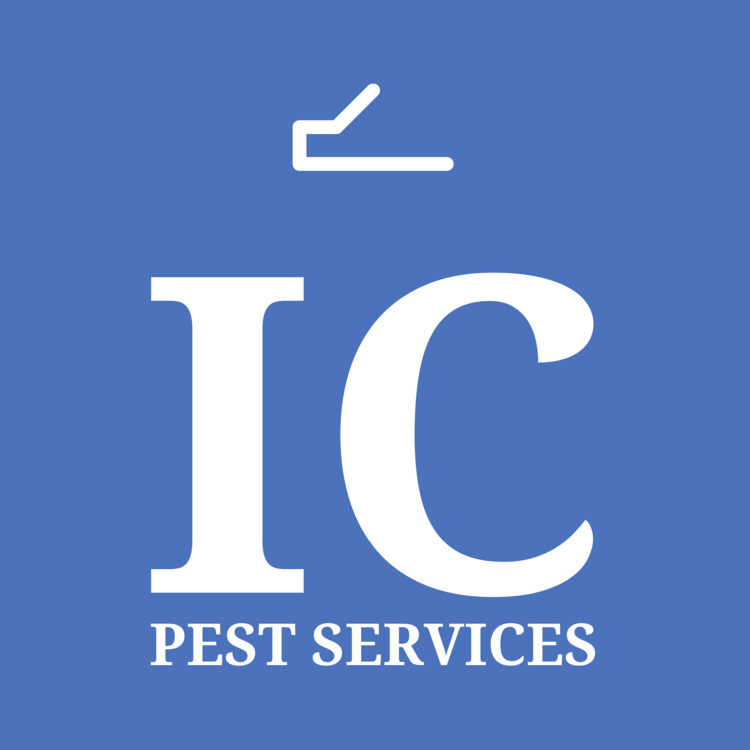 Pest Control in South Wales